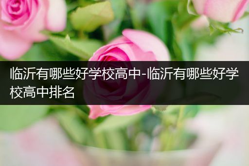 临沂有哪些好学校高中-临沂有哪些好学校高中排名