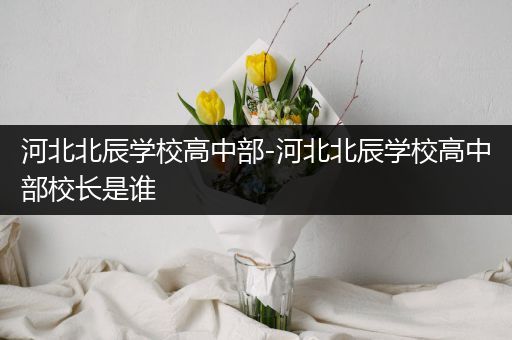 河北北辰学校高中部-河北北辰学校高中部校长是谁