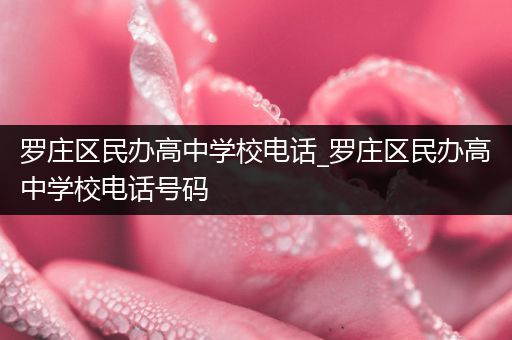 罗庄区民办高中学校电话_罗庄区民办高中学校电话号码