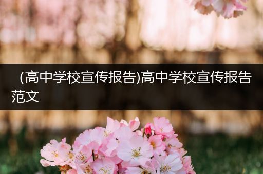 （高中学校宣传报告)高中学校宣传报告范文