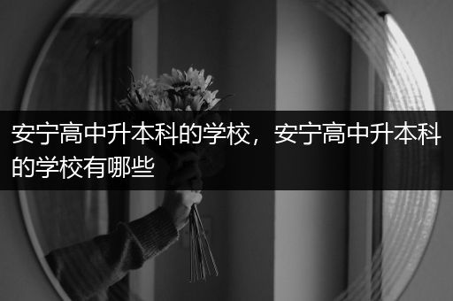 安宁高中升本科的学校，安宁高中升本科的学校有哪些