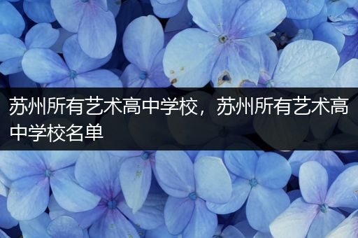 苏州所有艺术高中学校，苏州所有艺术高中学校名单