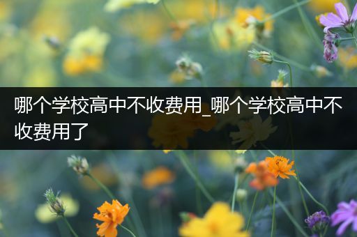 哪个学校高中不收费用_哪个学校高中不收费用了