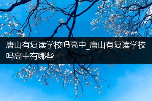 唐山有复读学校吗高中_唐山有复读学校吗高中有哪些
