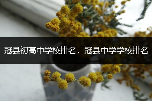 冠县初高中学校排名，冠县中学学校排名