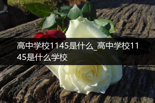高中学校1145是什么_高中学校1145是什么学校