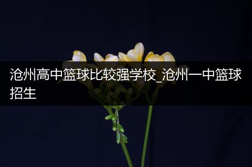 沧州高中篮球比较强学校_沧州一中篮球招生