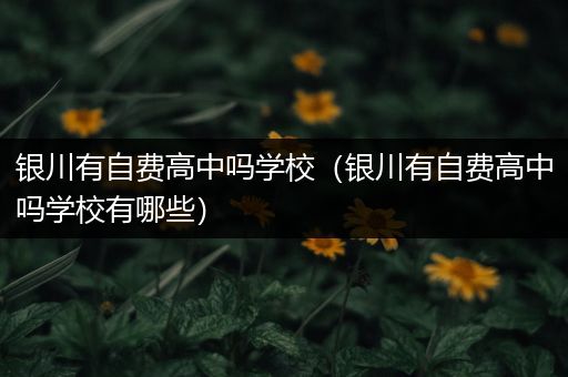 银川有自费高中吗学校（银川有自费高中吗学校有哪些）