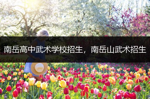 南岳高中武术学校招生，南岳山武术招生