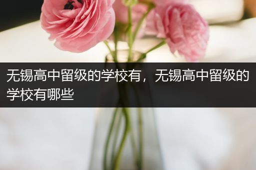 无锡高中留级的学校有，无锡高中留级的学校有哪些