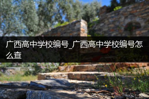 广西高中学校编号_广西高中学校编号怎么查