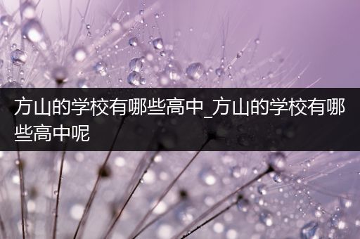 方山的学校有哪些高中_方山的学校有哪些高中呢