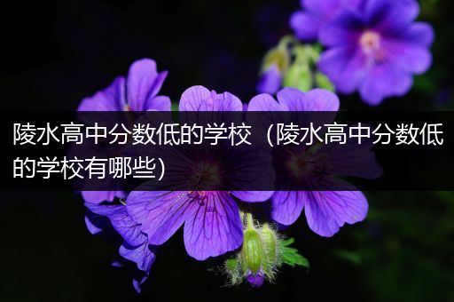 陵水高中分数低的学校（陵水高中分数低的学校有哪些）
