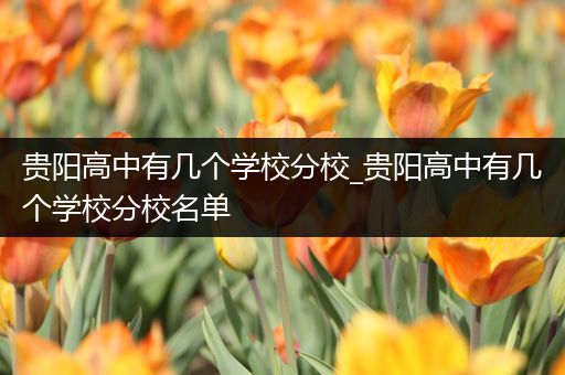 贵阳高中有几个学校分校_贵阳高中有几个学校分校名单