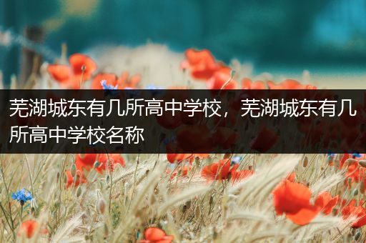 芜湖城东有几所高中学校，芜湖城东有几所高中学校名称