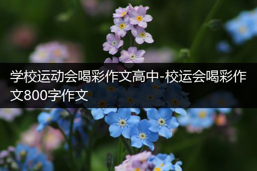 学校运动会喝彩作文高中-校运会喝彩作文800字作文