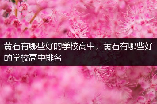 黄石有哪些好的学校高中，黄石有哪些好的学校高中排名