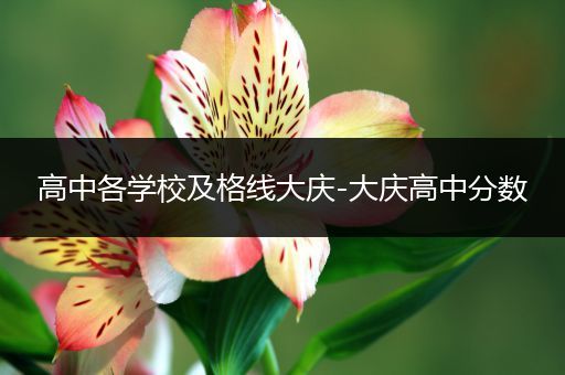 高中各学校及格线大庆-大庆高中分数