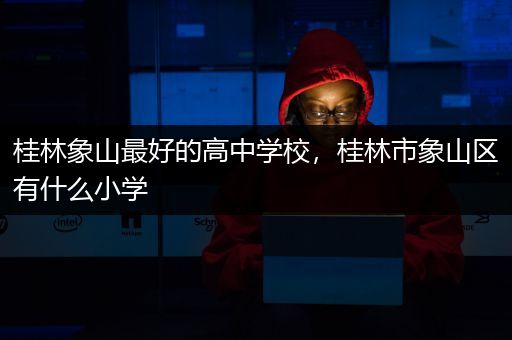 桂林象山最好的高中学校，桂林市象山区有什么小学