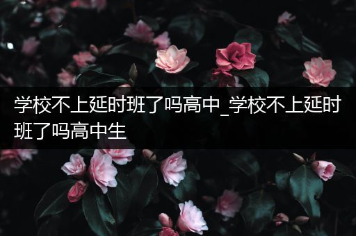学校不上延时班了吗高中_学校不上延时班了吗高中生