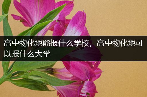 高中物化地能报什么学校，高中物化地可以报什么大学