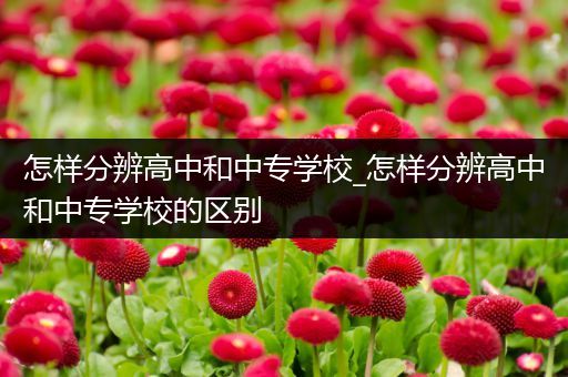 怎样分辨高中和中专学校_怎样分辨高中和中专学校的区别