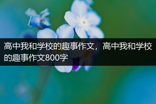 高中我和学校的趣事作文，高中我和学校的趣事作文800字