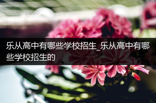 乐从高中有哪些学校招生_乐从高中有哪些学校招生的