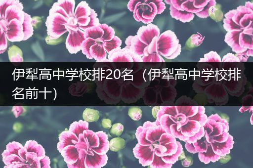 伊犁高中学校排20名（伊犁高中学校排名前十）