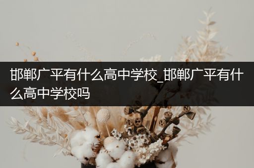 邯郸广平有什么高中学校_邯郸广平有什么高中学校吗