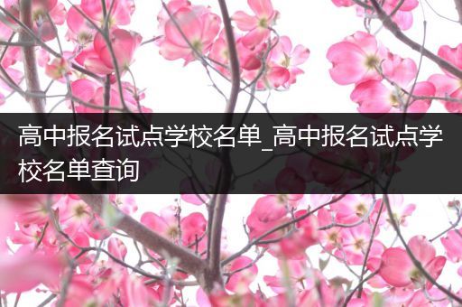 高中报名试点学校名单_高中报名试点学校名单查询