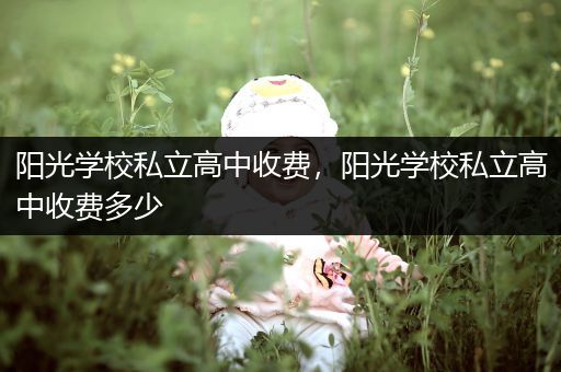 阳光学校私立高中收费，阳光学校私立高中收费多少