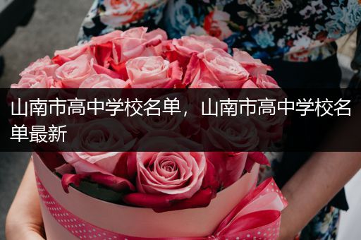 山南市高中学校名单，山南市高中学校名单最新