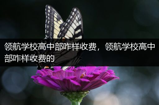 领航学校高中部咋样收费，领航学校高中部咋样收费的