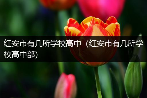 红安市有几所学校高中（红安市有几所学校高中部）