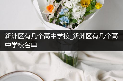 新洲区有几个高中学校_新洲区有几个高中学校名单