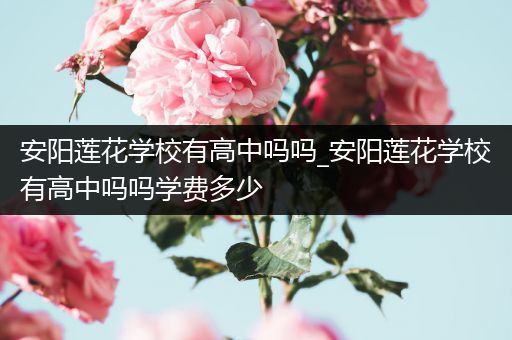 安阳莲花学校有高中吗吗_安阳莲花学校有高中吗吗学费多少