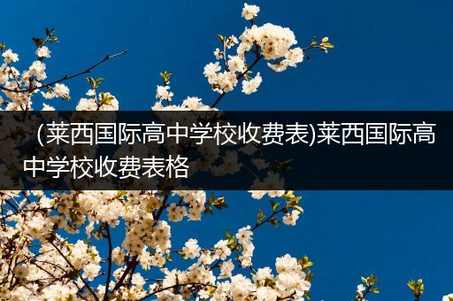 （莱西国际高中学校收费表)莱西国际高中学校收费表格