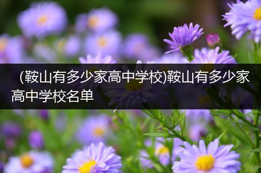 （鞍山有多少家高中学校)鞍山有多少家高中学校名单