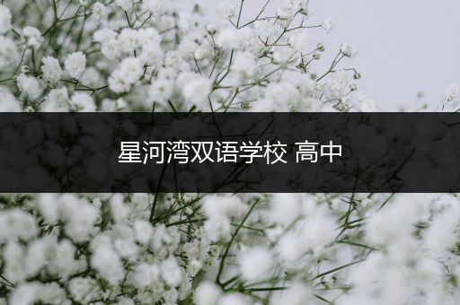 星河湾双语学校 高中