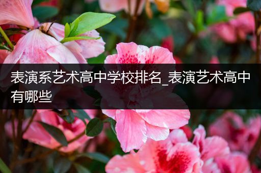 表演系艺术高中学校排名_表演艺术高中有哪些