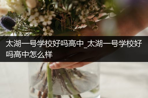 太湖一号学校好吗高中_太湖一号学校好吗高中怎么样