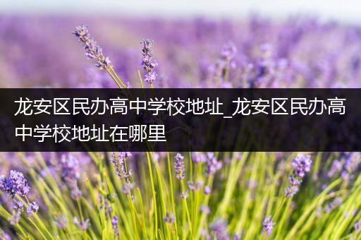 龙安区民办高中学校地址_龙安区民办高中学校地址在哪里