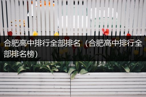 合肥高中排行全部排名（合肥高中排行全部排名榜）