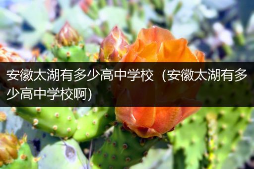 安徽太湖有多少高中学校（安徽太湖有多少高中学校啊）