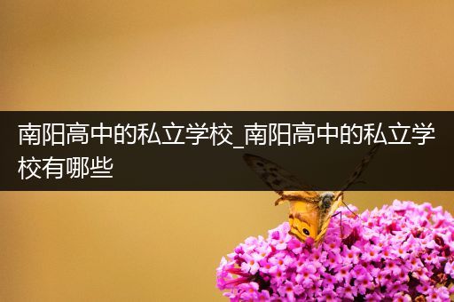 南阳高中的私立学校_南阳高中的私立学校有哪些