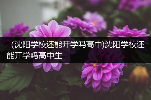 （沈阳学校还能开学吗高中)沈阳学校还能开学吗高中生