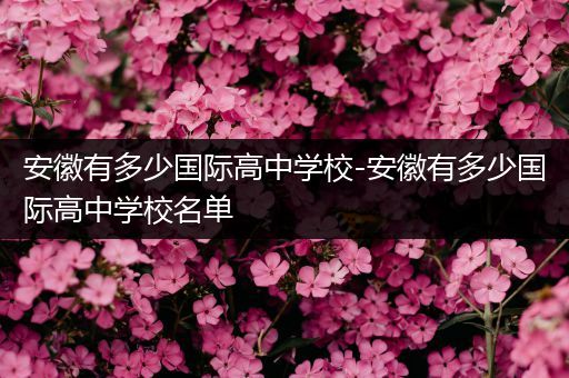 安徽有多少国际高中学校-安徽有多少国际高中学校名单