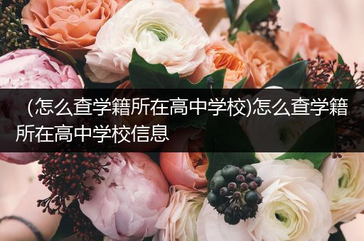 （怎么查学籍所在高中学校)怎么查学籍所在高中学校信息