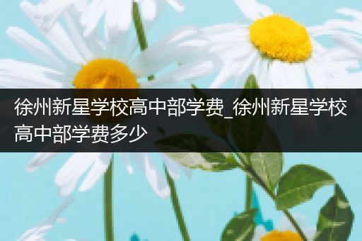 徐州新星学校高中部学费_徐州新星学校高中部学费多少